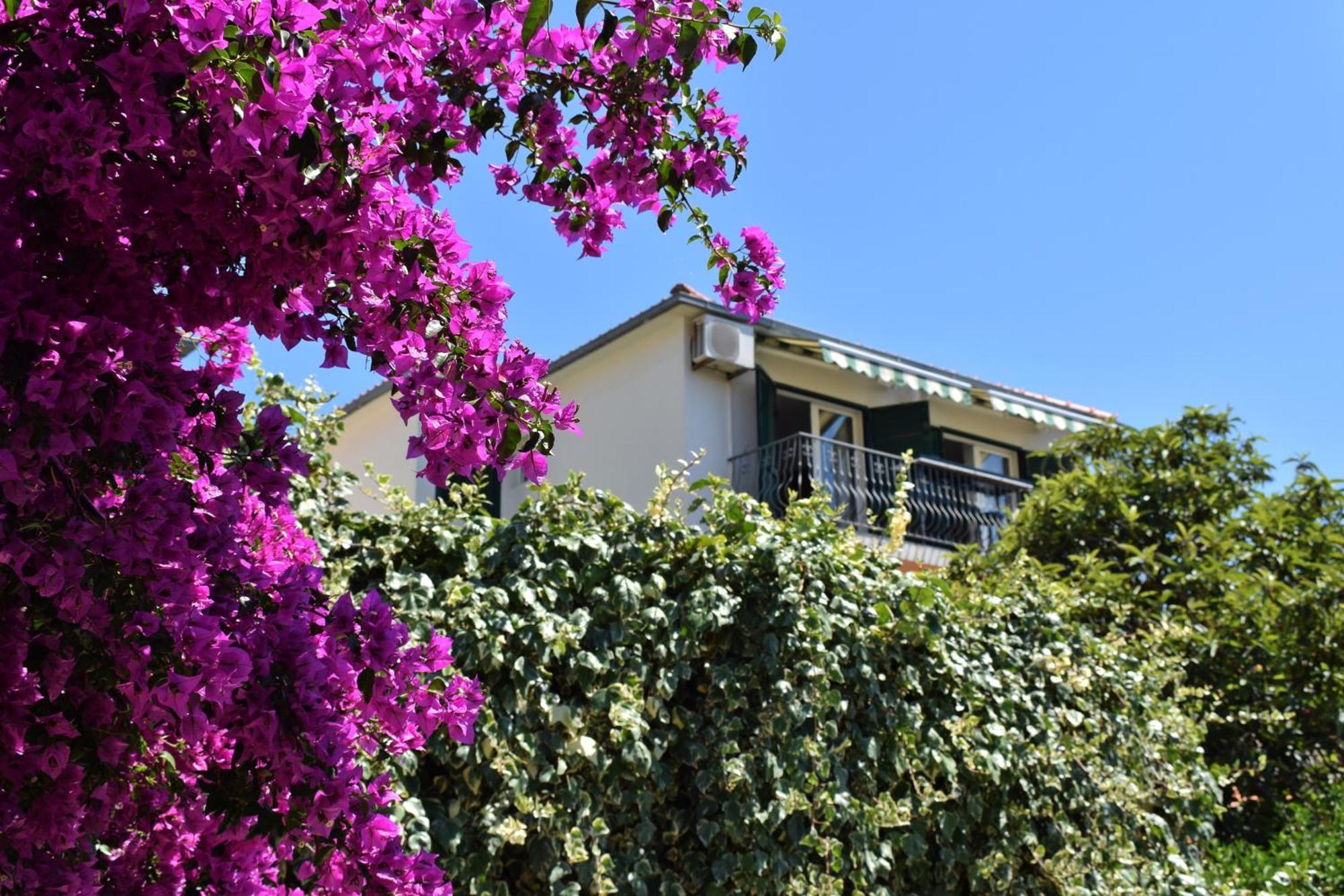 Lina Vrankovic Apartments هفار المظهر الخارجي الصورة